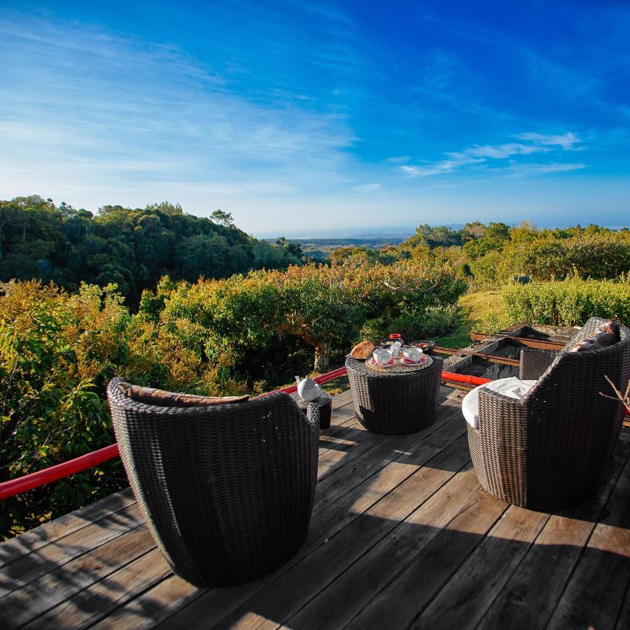 The Litchi Tree Amber Mountain Boutique Hotel Ambohitra 외부 사진